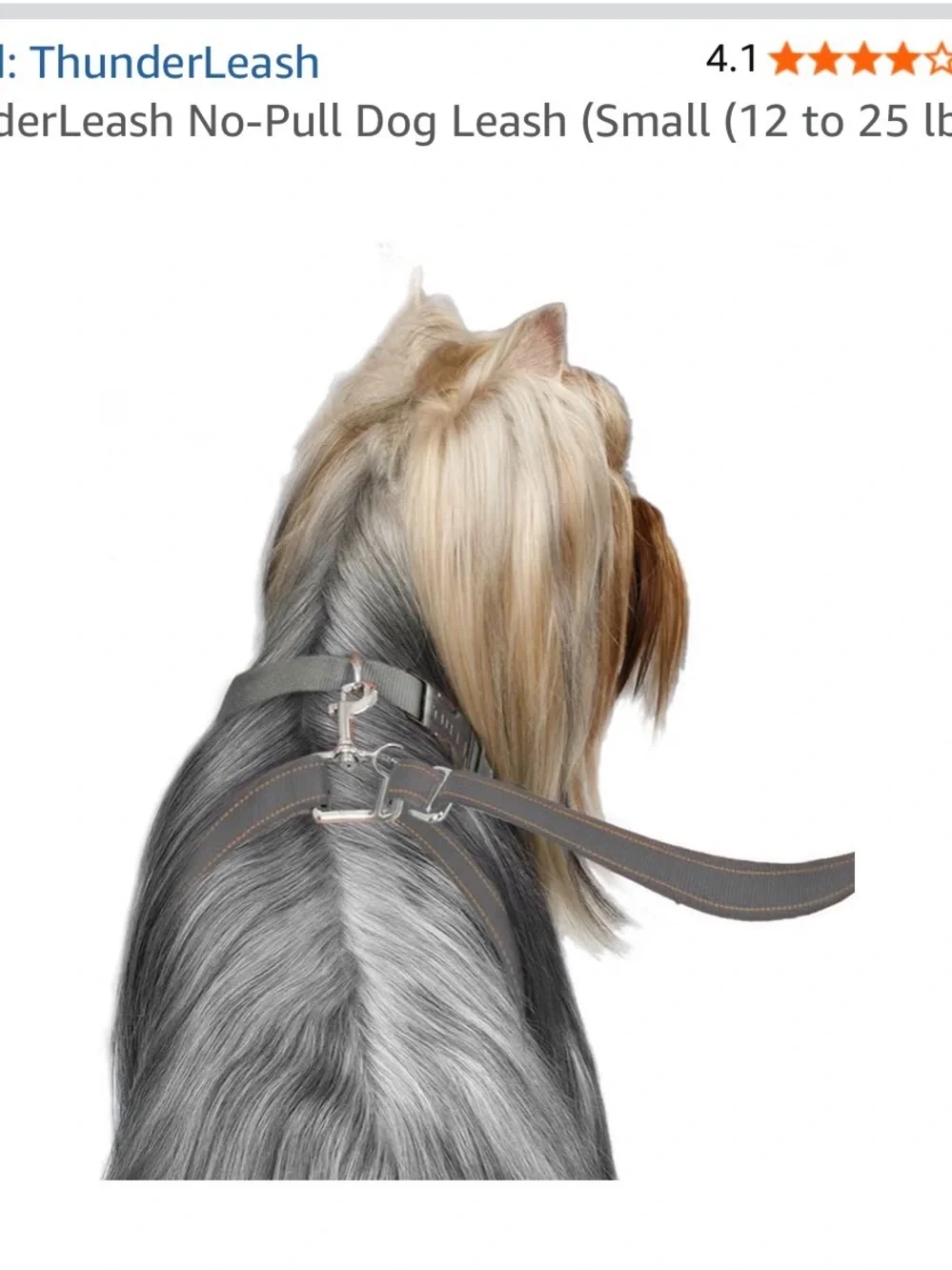 ThunderLeash best no